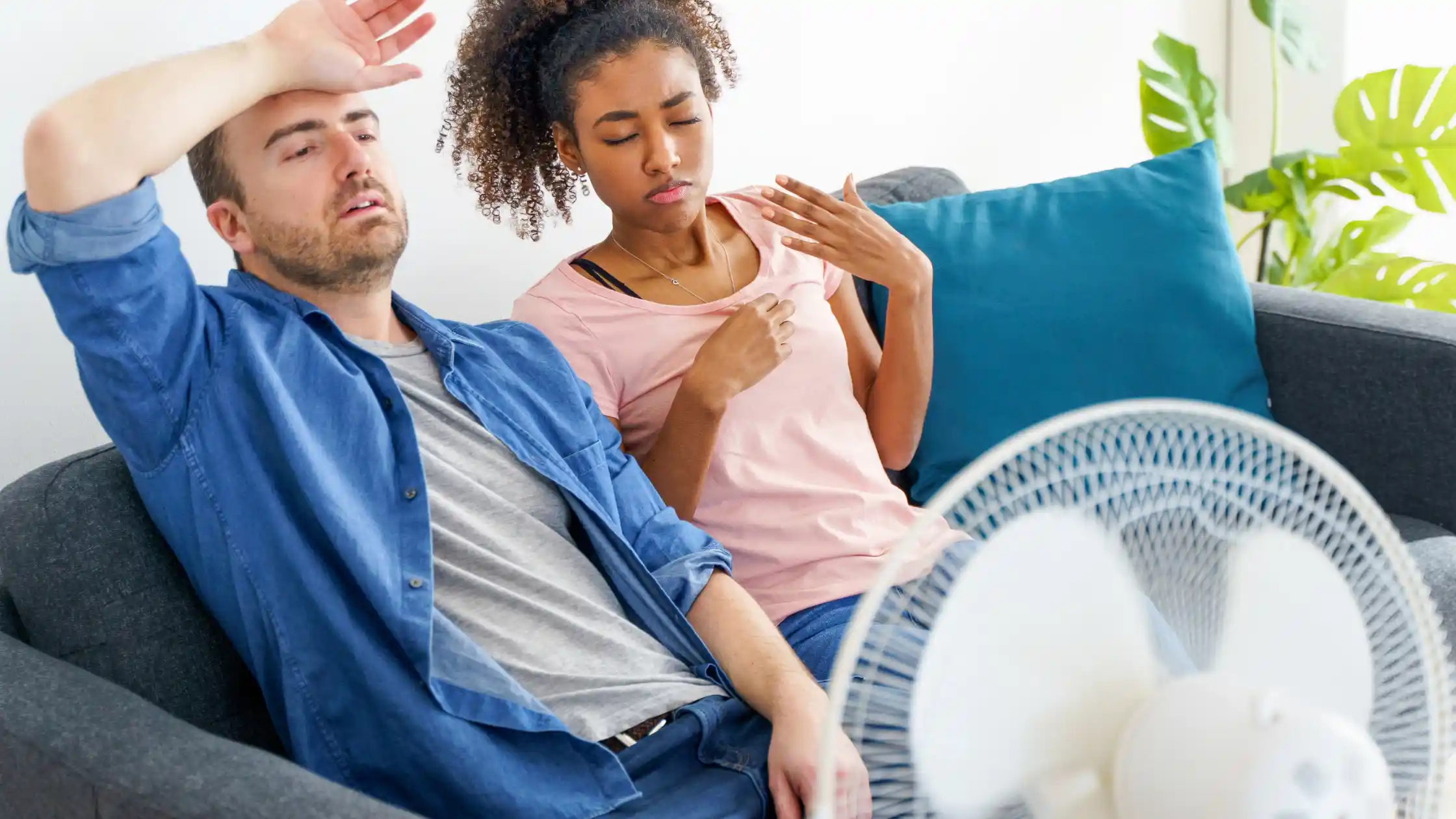 How to Safely Store Your Belongings in Houston's Humid Climate