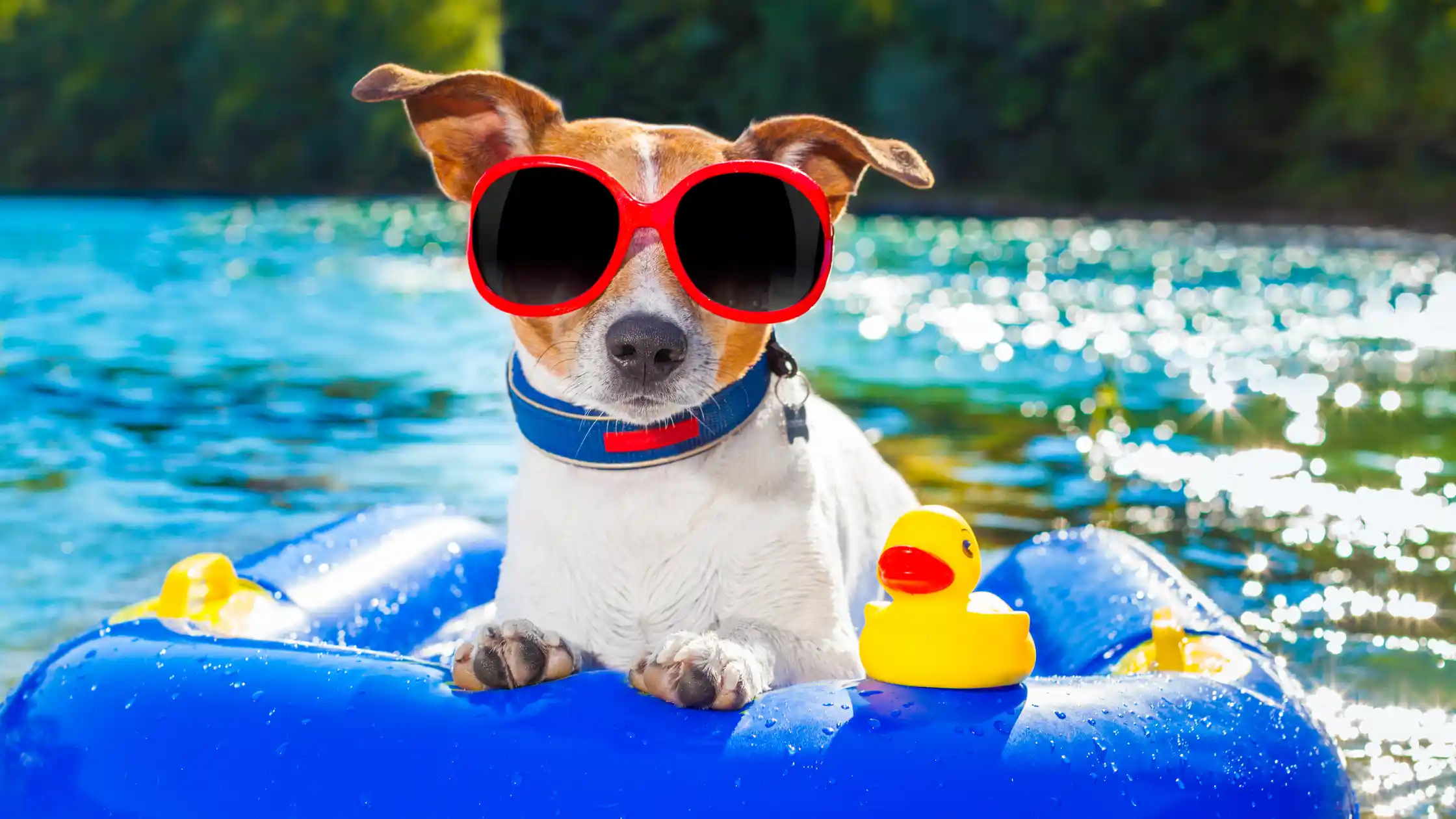 end of summer storage tips